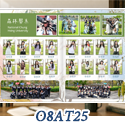 O8AT25